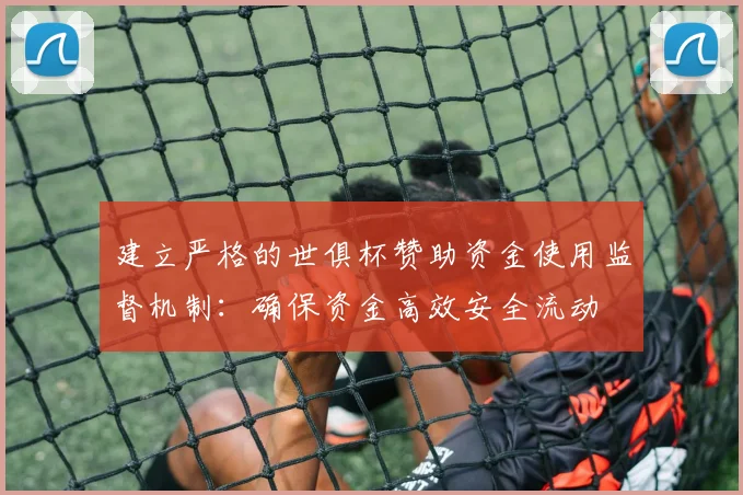 建立严格的世俱杯赞助资金使用监督机制：确保资金高效安全流动